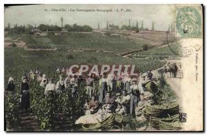 Old Postcard Folklore Wine Vintage Champagne Cote d & # 39Or The harvests in ...