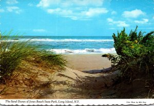 New York Long Island Sand Dunes Of Jones Beach