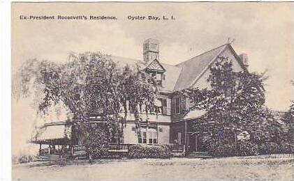 New York Oyster Bay EX President Roosevelts Residence Albertype