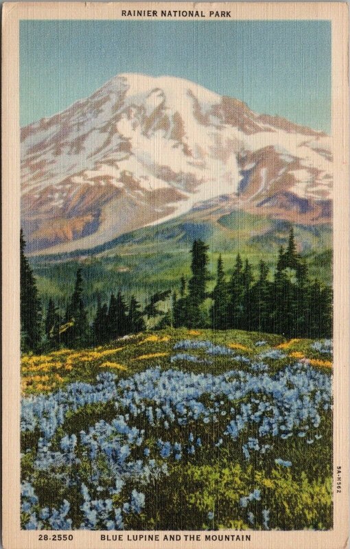 Rainier National Park Blue Lupine & Mtn WA c1938 Paradise Inn DPO Postcard E67