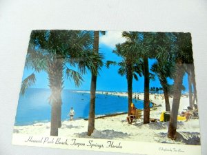 Vintage Postcard Howard Park Beach Tarpon Spring Florida FL Gulf of Mexico #2