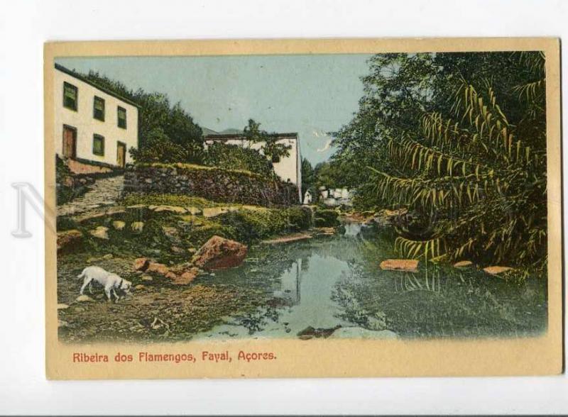 271180 PORTUGAL AZORES ACORES Ribeira dos Flamengos Fayal OLD