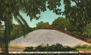 Famous Shell Mound On Southside St. Petersburg Florida Vintage Postcard 1950's