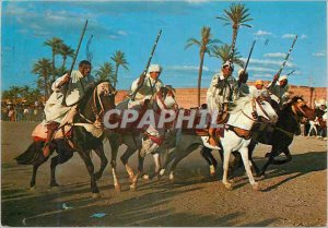 Postcard Modern Morocco typical fantasia