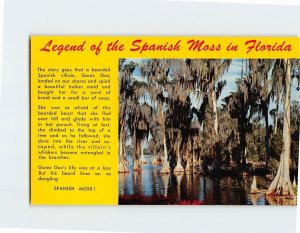 Postcard Legend of the Spanish Moss in Florida