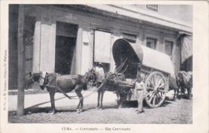 Cuba Havana Carromato The Carromato Horse Drawn Cart