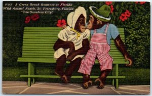 Postcard - A Green Bench Romance at Florida, Wild Animal Ranch - Florida