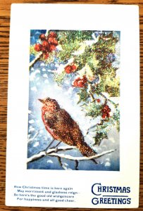 Tuck Postcard Christmas Snows and Holly Sprigs 2 Glass Bead Robin on Branch