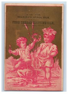 1882 Belding's Spool Silk Ed Wolf Children Lake F164