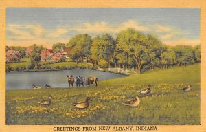 Greetings - New Albany, Indiana IN
