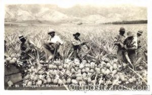 Pineapples, Hawaiian Islands Black Americana Unused 