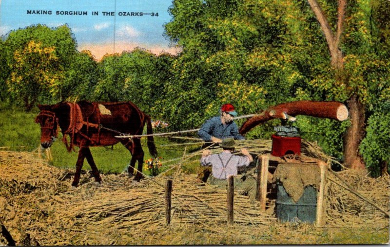 Missouri Ozarks Making Sorghum Molasses By Mule Power