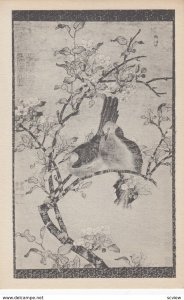 WASHINGTON D.C. , 1910-30s ; Freer Gallery of Art ; Doves on a flowering pear...