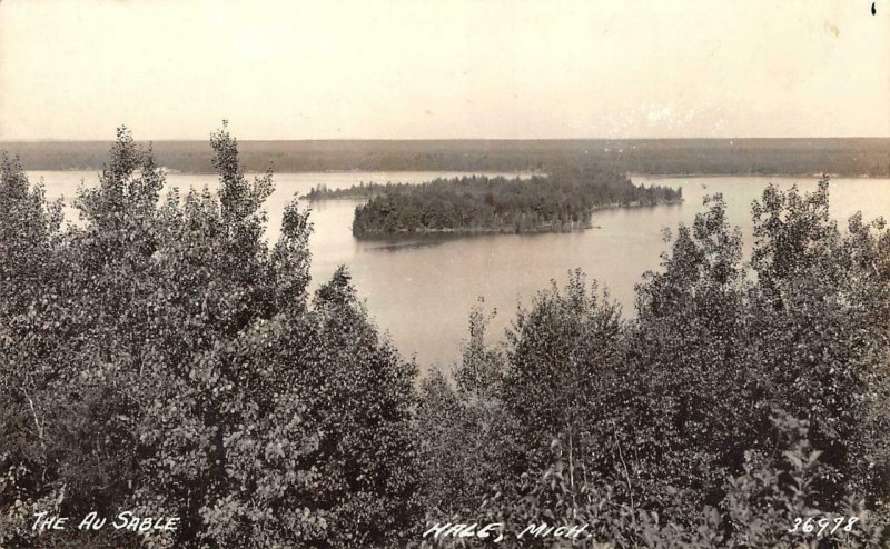 RPPC The Au Sable, Hale, Michigan ca 1930s Vintage Postcard