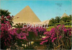 Modern Postcard Giza Cheops Pyramid