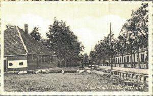 Netherlands Assendelft Dorpsstraat Vintage Postcard 07.46