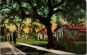 Vtg 1910's Spanish Type Dwellings In California CA Unposted Old Antique Postcard