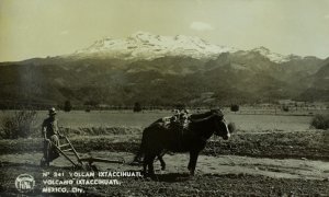 RPPC Farming Horse Plowing, Mexico, City Vintage Postcard P108