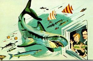 Florida Miami Seaqquarium Artists Rendering Underwater Windows