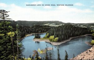 Colorado Alexander Lake On Grand Mesa