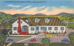Rashkin's Little Falls Hotel - Mountaindale, New York