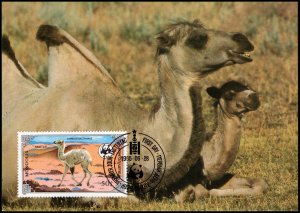 Mongolia - Maximum card WWF Camel 1985 (4)