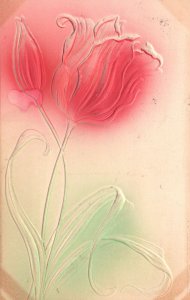 Birthday Friendship Embossed Lily Flower Red & Peach Vintage Postcard 1910