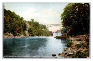 Lower Genesee River at Maplewood Park Rochester NY UNP Unused DB Postcard W19