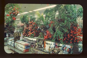 Allentown, Pennsylvania/PA Postcard, Flower Show, Hess's Department Store