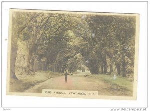 RP, Oak Avenue, Newlands, Cape Province, Union Of South Africa, 1900-1910s