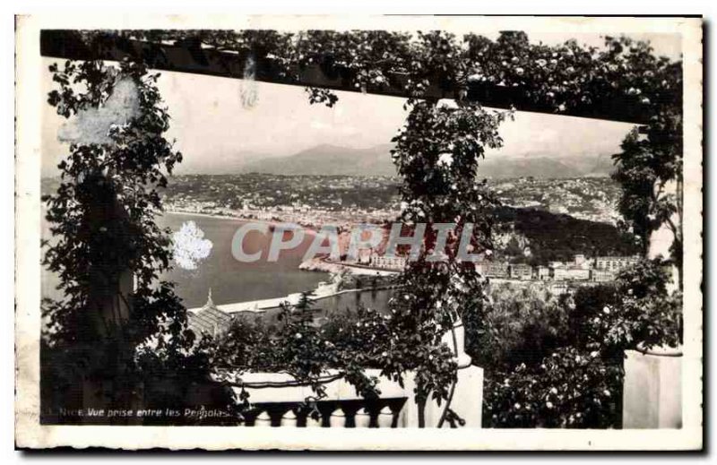 Old Postcard The French Riviera Nice shooting between Pergolas