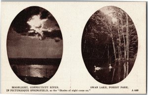 Swan Lake Forest Park Connecticut River Springfield MA Vintage Postcard R29