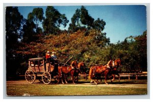 Vintage 1968 Postcard Knott's Berry Farm Stage Coach Buena Park California