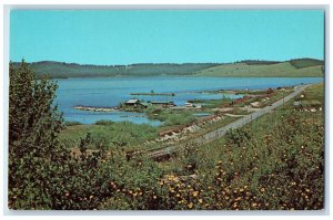 c1960 George Town Lake Highway 10 Between Anaconda Philipsburg Montana Postcard 