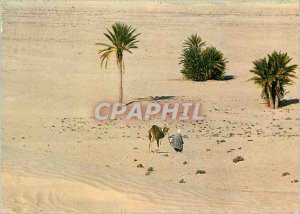 Postcard Modern Tunisian South to the Sahara