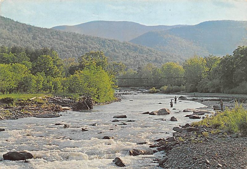 Dry Fly, Wet Fly, The Catskills Dry Fly, Wet Fly, The Catskills, Fishermans P...