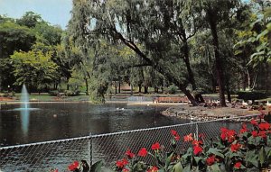 John Ball Park Duck Pond - Grand Rapids, Michigan MI