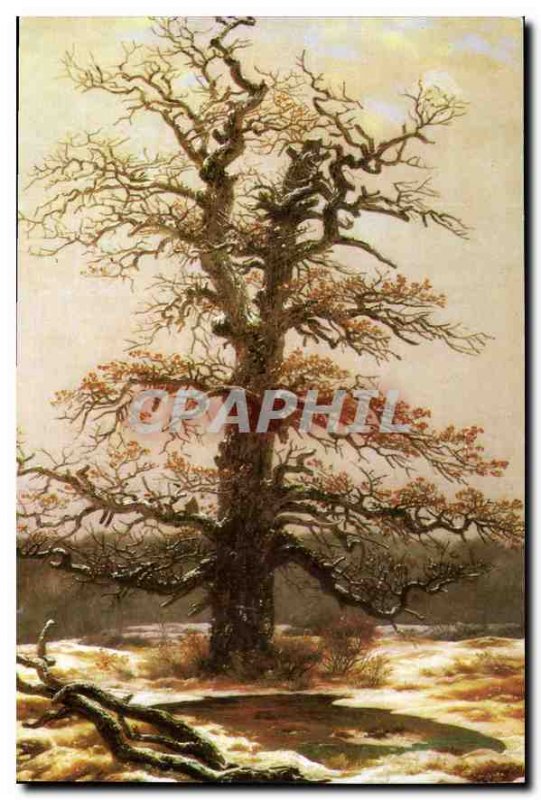 Modern Postcard Casper David Friedrich oak in snow K?ln Wallraf-Richartz Museum