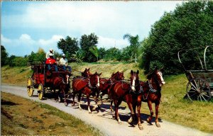 Stagecoach, Butterfield Stage Line, Knott's Berry Farm CA Vintage Postcard H55