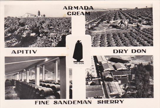 Portugal Sandeman Vineyards and Bodegas Multi View Real Photo