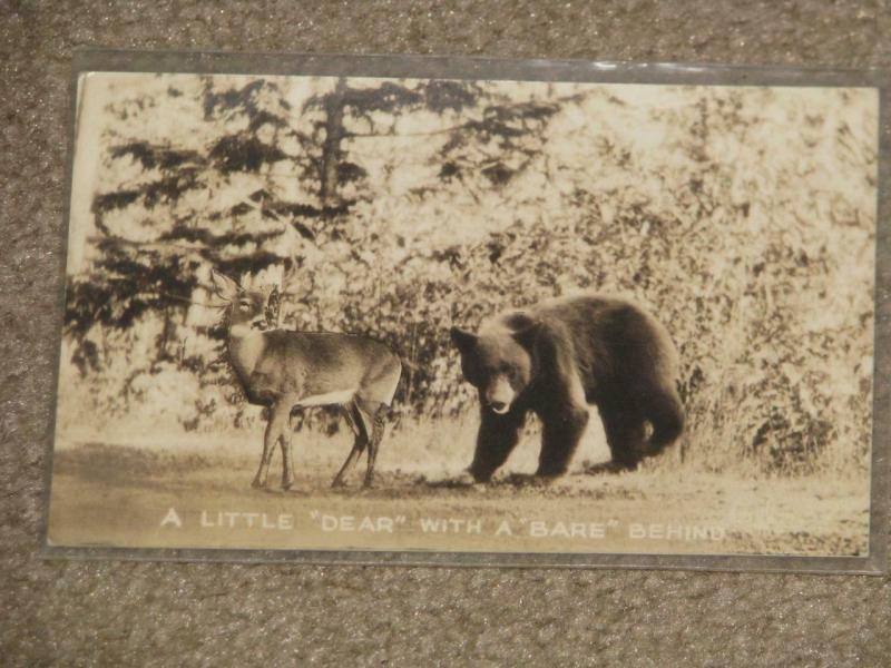 A Little DEAR with a BARE Behind, unused vintage card, RPPC