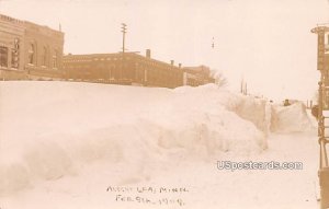 Winter Scene in Albert Lea, Minnesota