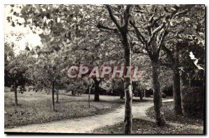 Postcard Old Bethante Saint Palais sur Mer Park