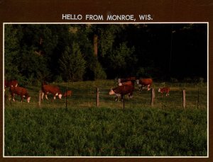 Greetings From Monroe,WI Cattle Cows BIN