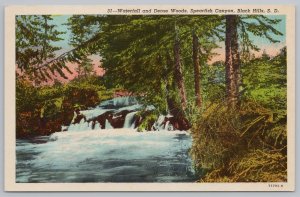 Black Hills SD~Waterfall & Dense Woods Spearfish Canyon~Vintage Postcard