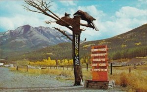 Canada Carving Of The Crows Blairmore Alberta