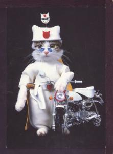 Law Enforcement Cat Dressed Cat Post Card 2938