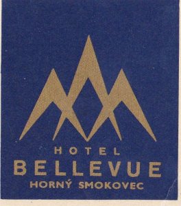 Czechoslovakia Horny Smokovec Hotel Bellevue Vintage Luggage Label sk3642