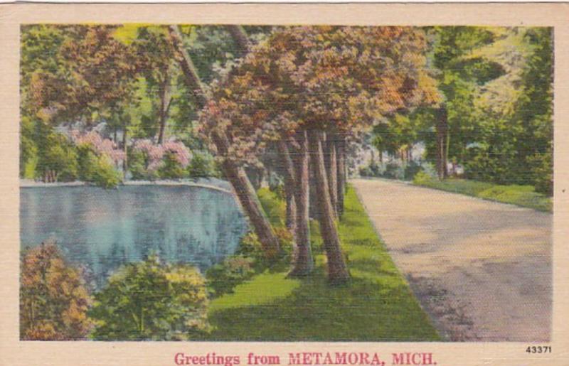 Michigan Greetings From Metamora 1943