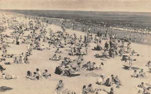 WANTAGH-Hempstead, LI New York NY   JONES OCEAN BEACH  Sunbathers  B&W Postcard